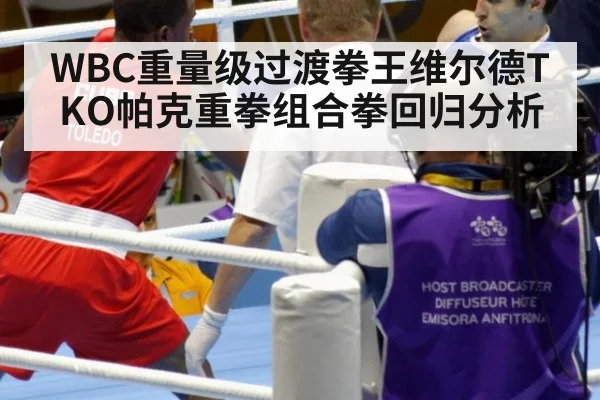 WBC重量级过渡拳王维尔德TKO帕克重拳组合拳回归分析
