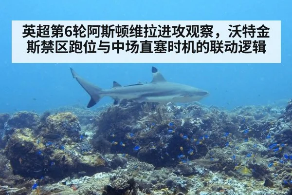 英超第6轮阿斯顿维拉进攻观察，沃特金斯禁区跑位与中场直塞时机的联动逻辑